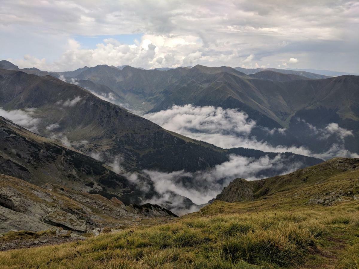 Cazare Antonia Curtea de Argeş Exteriör bild